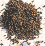CompostingToronto